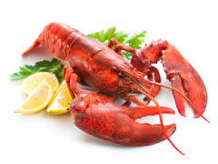 mariscos