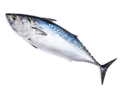 pescados